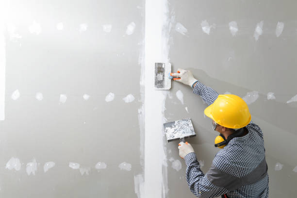 Best Mold-Related Health Consultation  in Kingwood, WV