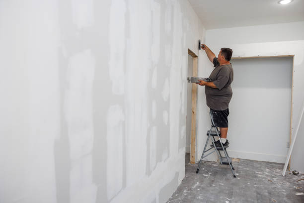 Best Mold Documentation for Insurance Claims  in Kingwood, WV