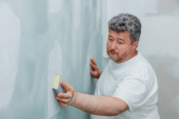 Best Mold Odor Removal Services  in Kingwood, WV