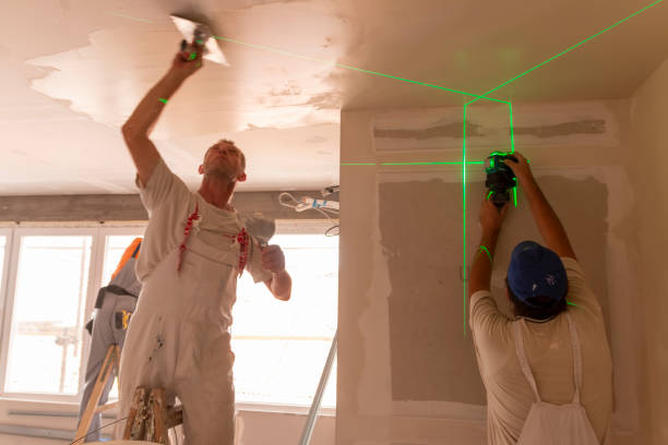 Best Asbestos and Lead Testing During Mold Inspection  in Kingwood, WV