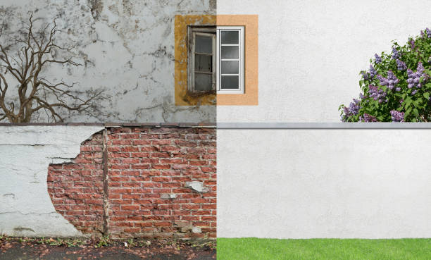 Best Emergency Mold Remediation  in Kingwood, WV