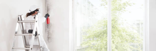 Best Air Quality Testing for Mold Spores  in Kingwood, WV