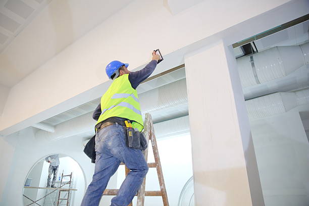 Best Attic Mold Removal  in Kingwood, WV