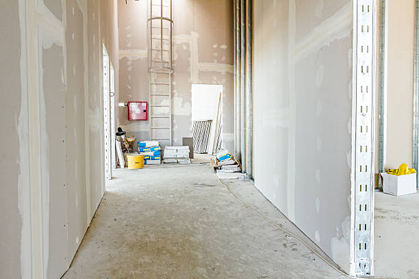  Kingwood, WV Mold Removal Pros