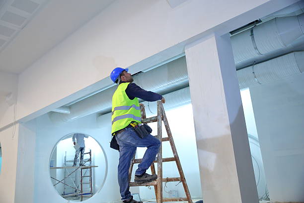 Best Forensic Mold Investigation  in Kingwood, WV