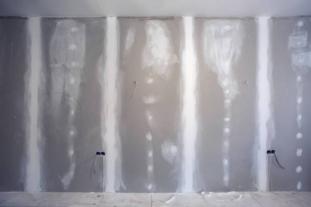 Best Basement Mold Removal  in Kingwood, WV
