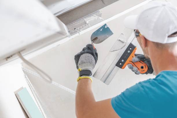 Best Biohazard Mold Removal  in Kingwood, WV